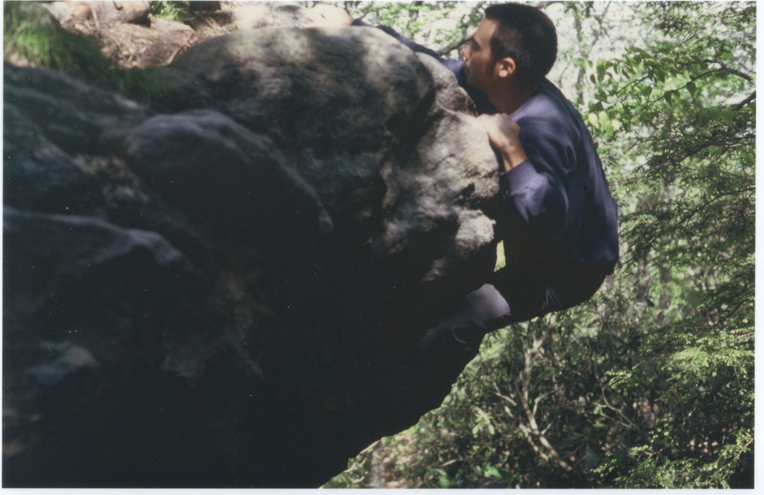 mushroom_tim.jpg