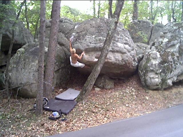 roadkill_tim1.jpg