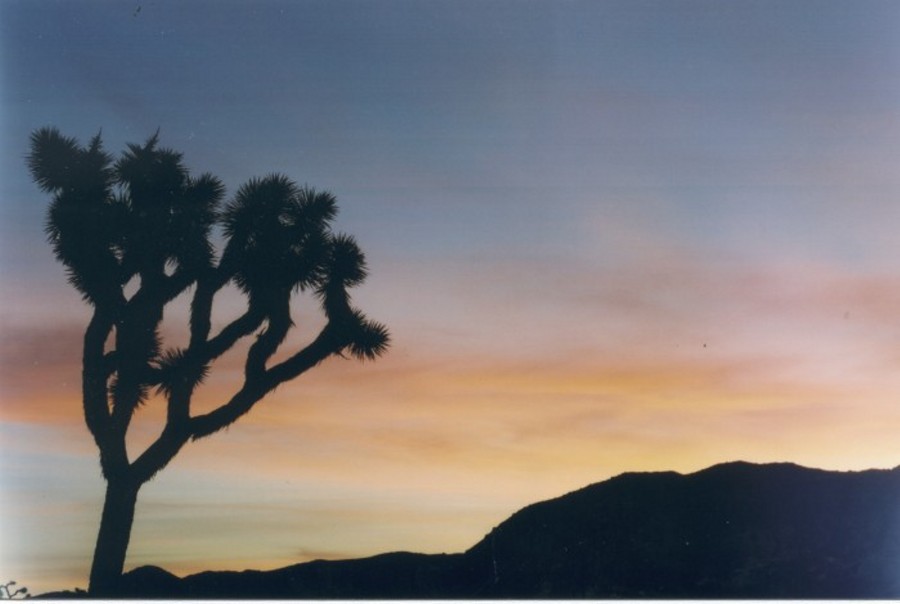 sunset.jpg