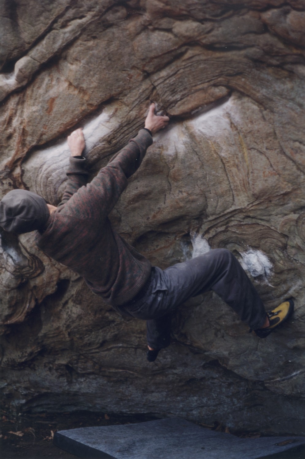 v5_adam3.jpg