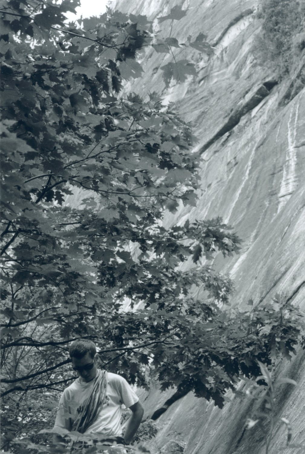 whitesides_1.jpg