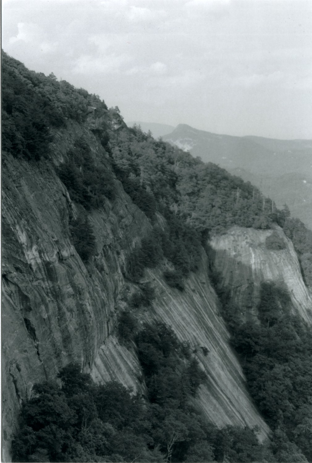 whitesides_2.jpg